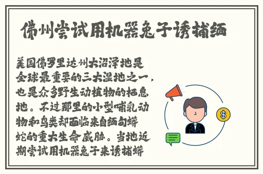 张筱雨大胆打开双腿